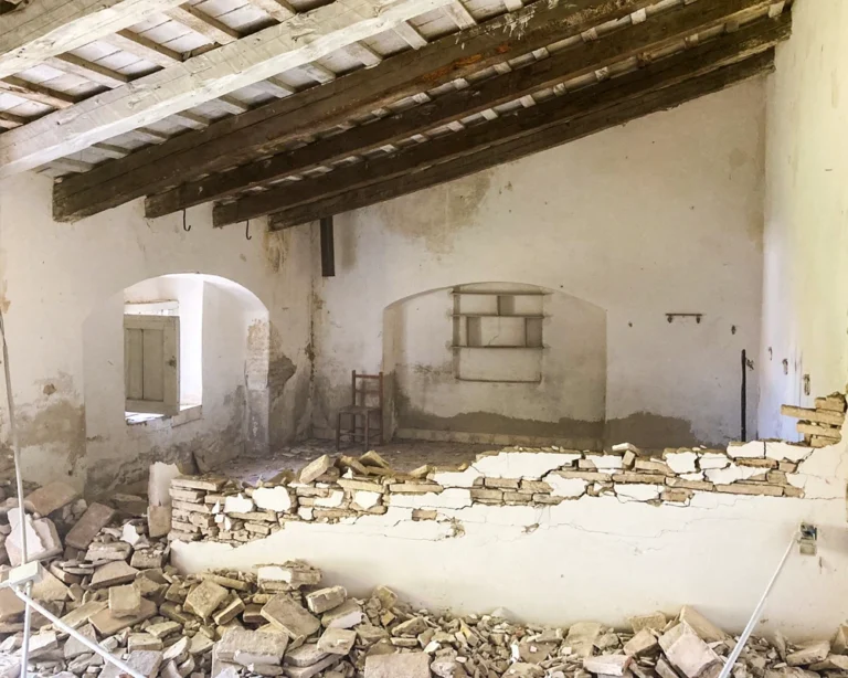 vacchereccia_img_homepage_timeline_202306_2