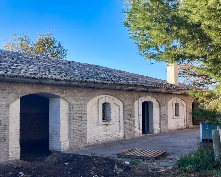 vacchereccia_img_homepage_timeline_202312_1