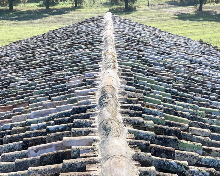 vacchereccia_img_homepage_timeline_202312_2