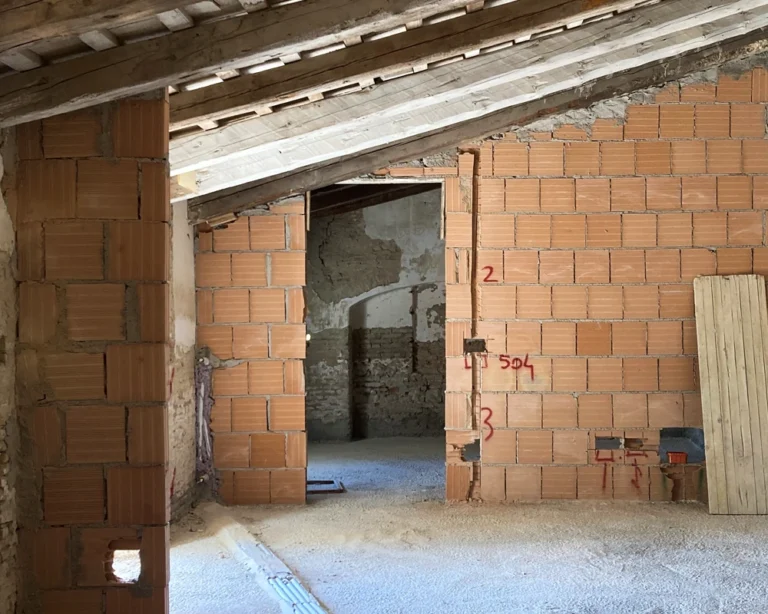 vacchereccia_img_homepage_timeline_202406_1