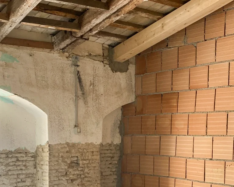 vacchereccia_img_homepage_timeline_202406_4