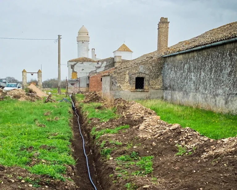 vacchereccia_img_homepage_timeline_202406_8