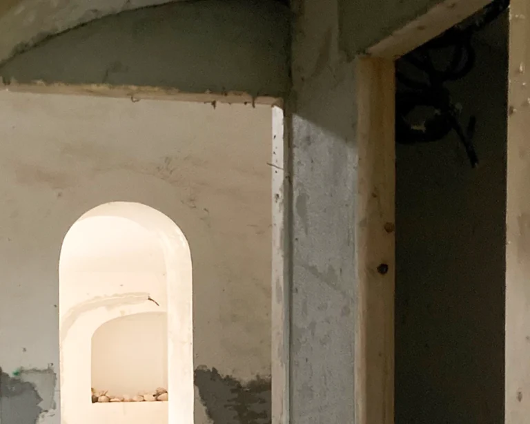 vacchereccia_img_homepage_timeline_202412_8