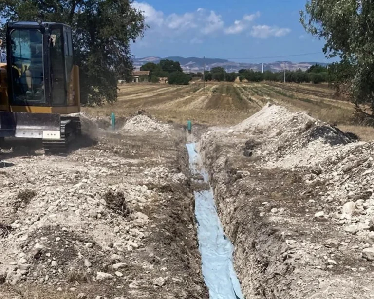 vacchereccia_img_homepage_timeline_202506_10