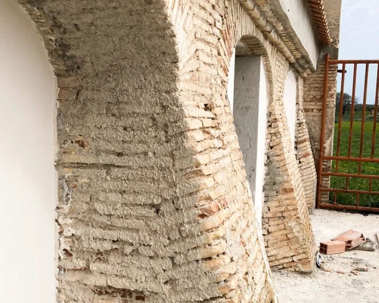 vacchereccia_img_homepage_timeline_202506_5