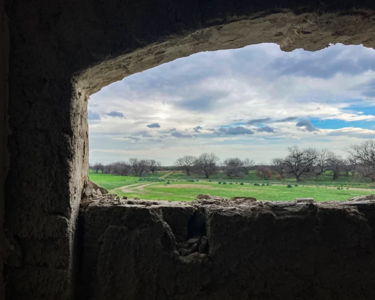 vacchereccia_img_homepage_timeline_202506_6