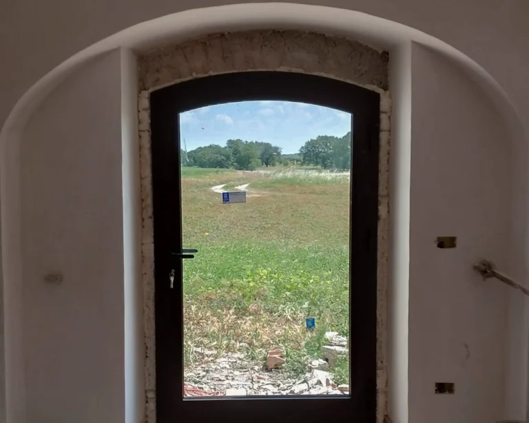 vacchereccia_img_homepage_timeline_202506_9