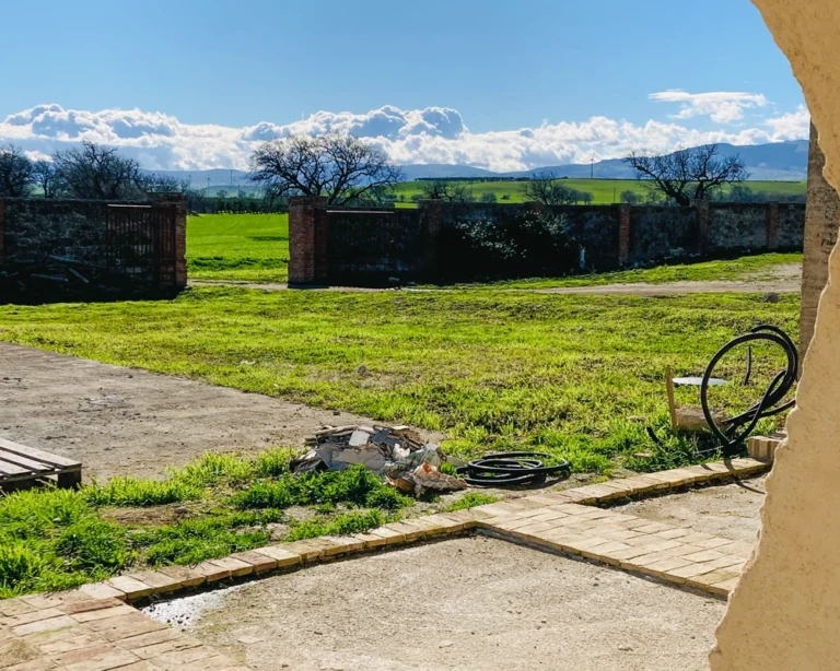 vacchereccia_img_homepage_timeline_202601_2