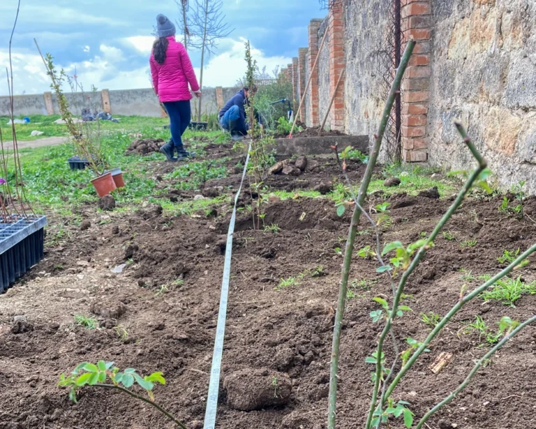 vacchereccia_img_homepage_timeline_202603_2