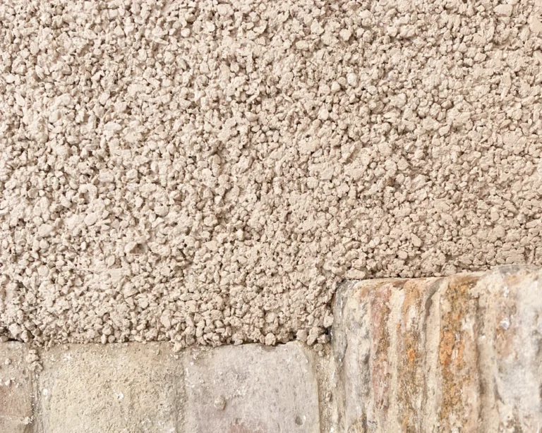 vacchereccia_img_homepage_timeline_202603_4