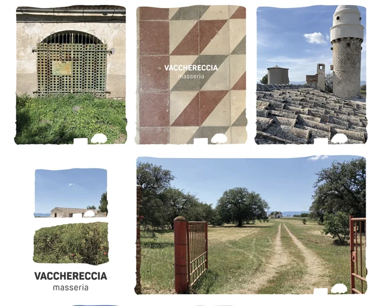 vacchereccia_img_homepage_timeline_202603_6